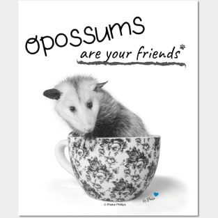 Opossums Are Your Friends Posters and Art